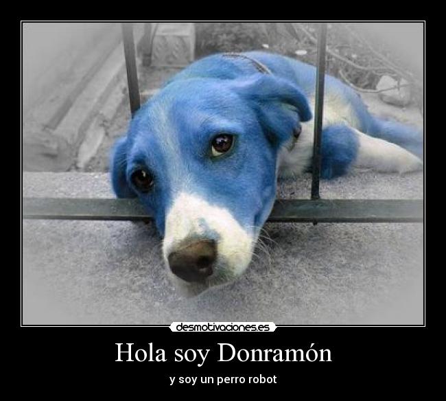 carteles hola soy desmotivaciones