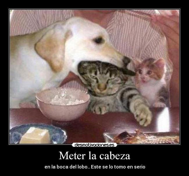 Meter la cabeza - en la boca del lobo.. Este se lo tomo en serio