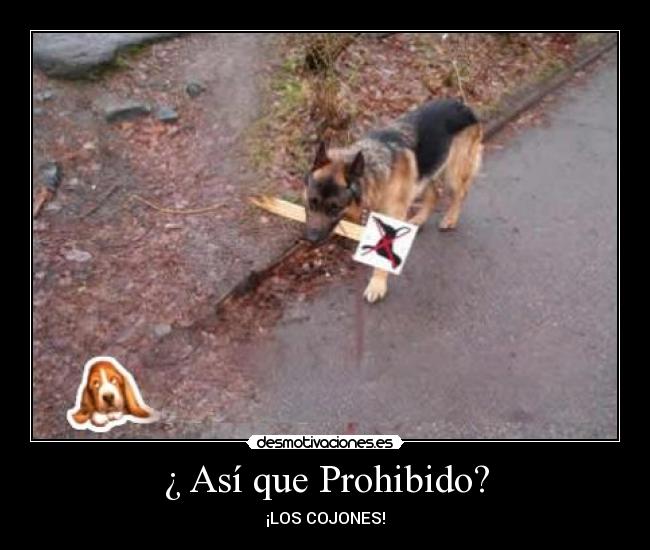 ¿ Así que Prohibido? - 