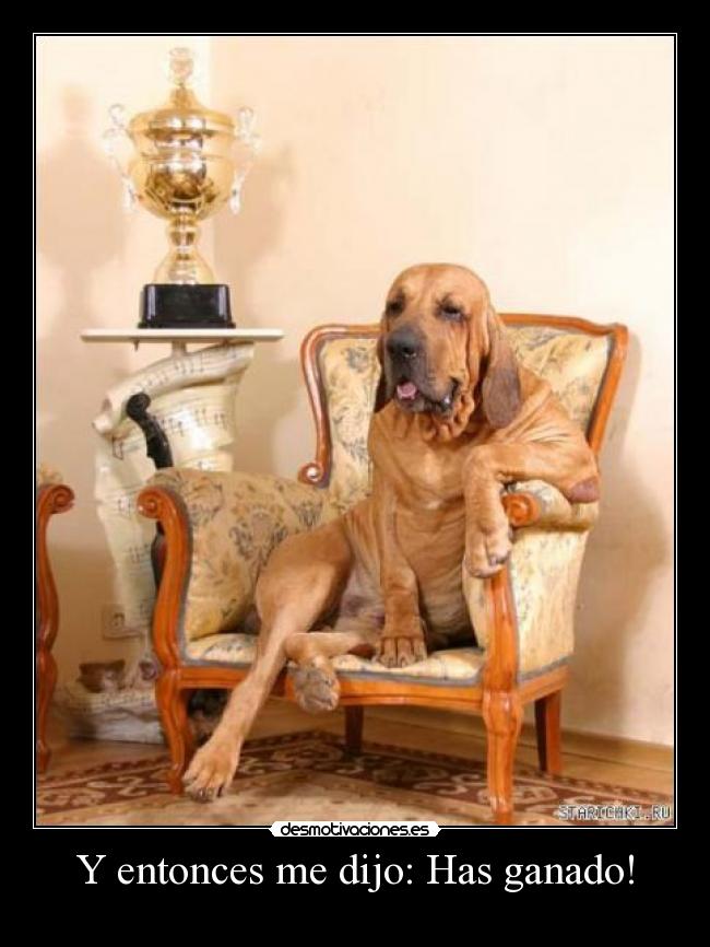 Y entonces me dijo: Has ganado! -