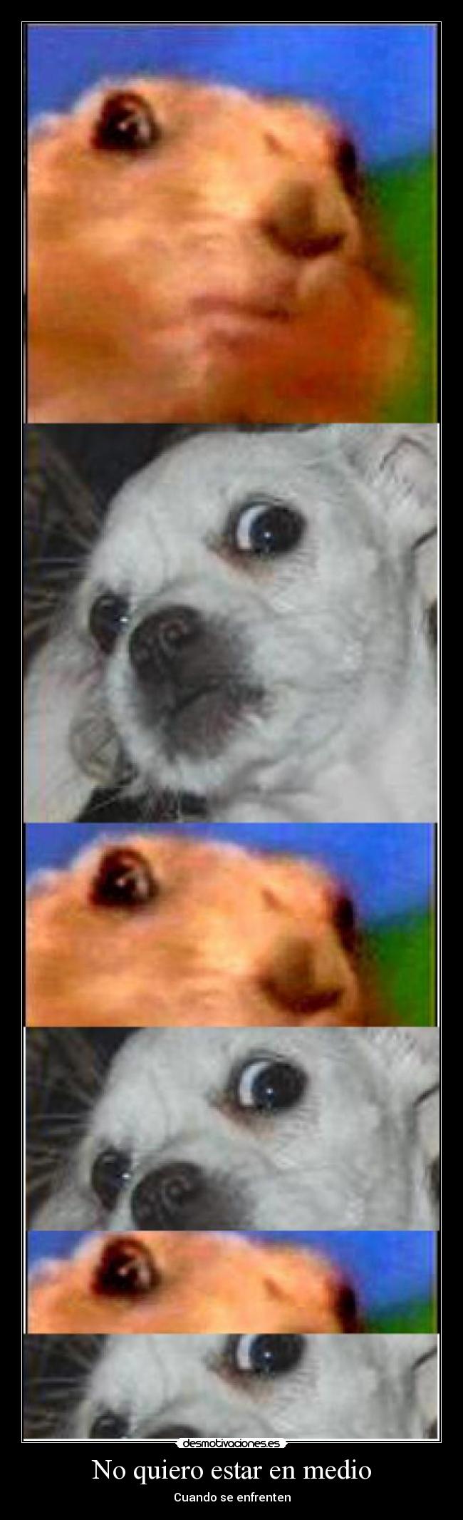 No quiero estar en medio -