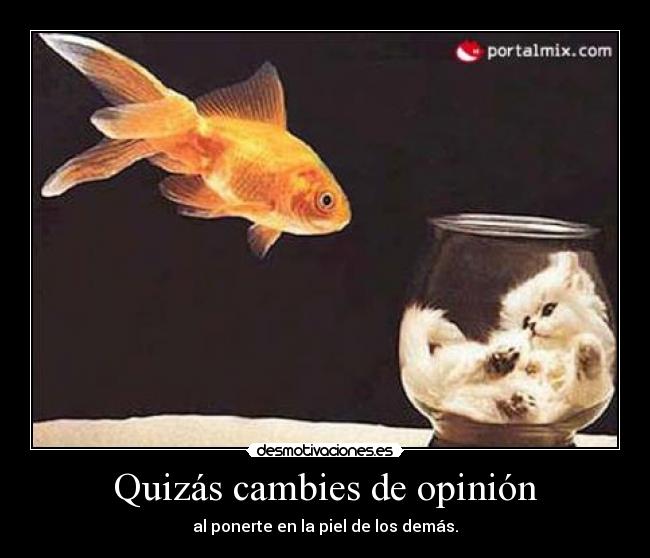 Quizás cambies de opinión - 