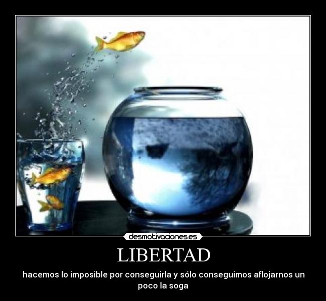 LIBERTAD -