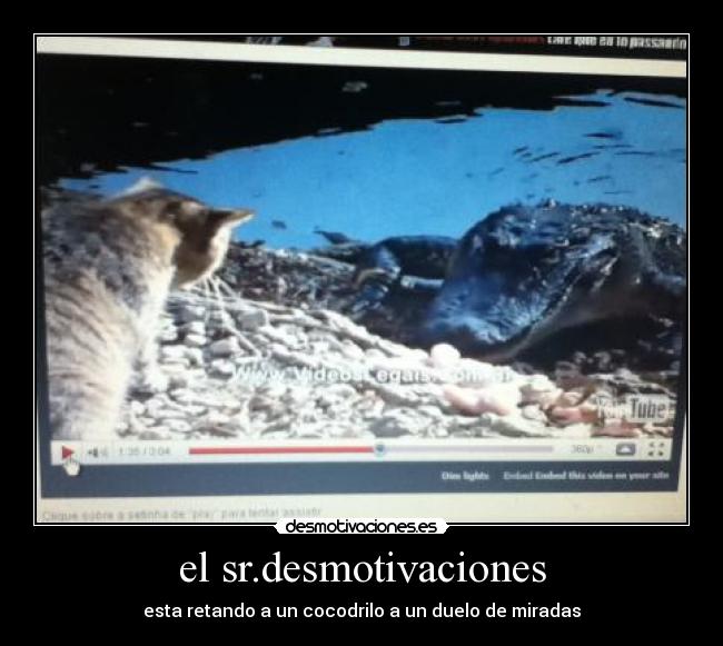 el sr.desmotivaciones - 