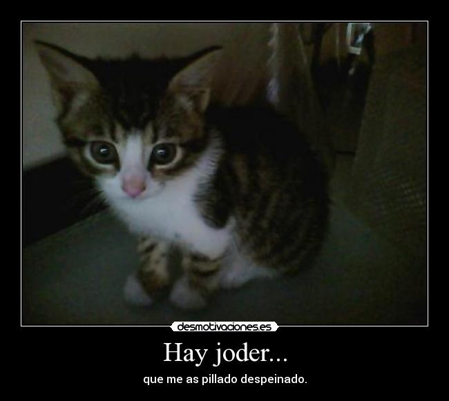 carteles que mono desmotivaciones