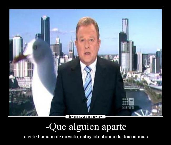 carteles pajaro intentando dar las noticias desmotivaciones