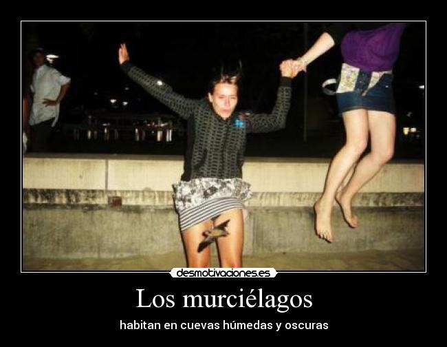 Los murciélagos - habitan en cuevas húmedas y oscuras