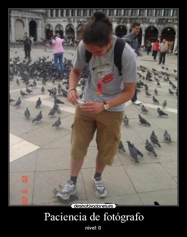 Paciencia de fotógrafo - 