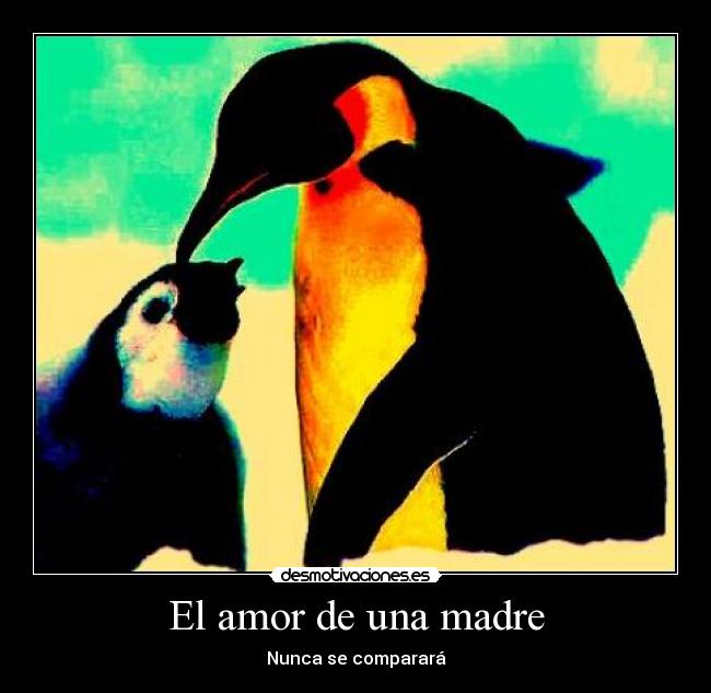 El amor de una madre - 