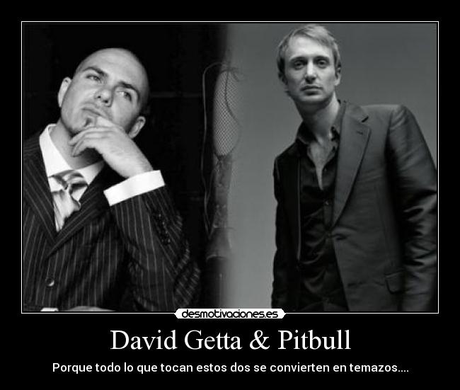 David Getta & Pitbull - 