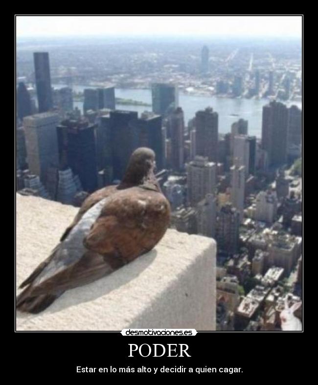 PODER -