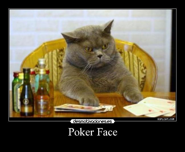 carteles poker face gato desmotivaciones