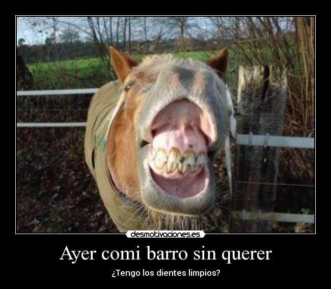 Ayer comi barro sin querer - ¿Tengo los dientes limpios?