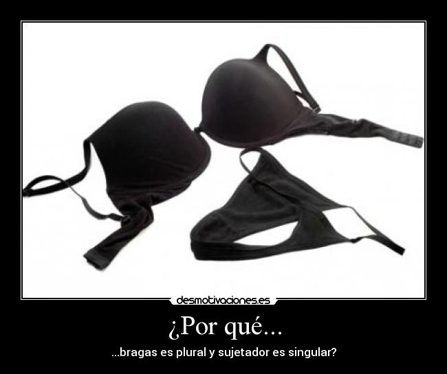 ¿Por qué... - ...bragas es plural y sujetador es singular?