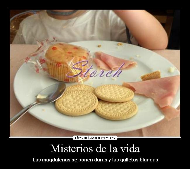 Misterios de la vida - Las magdalenas se ponen duras y las galletas blandas