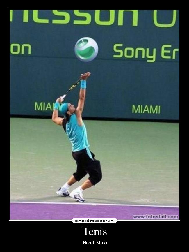 Tenis - 