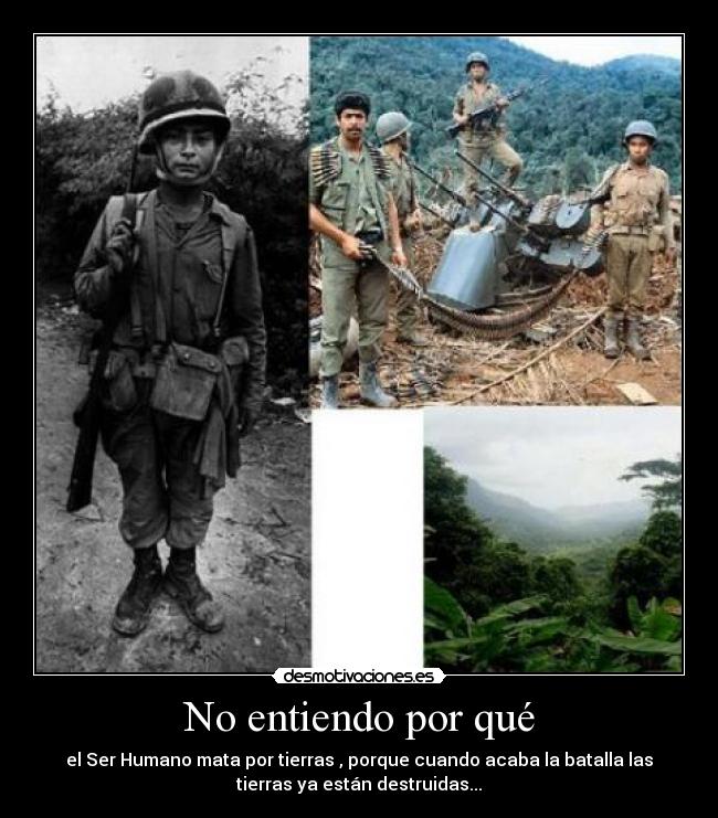 No entiendo por qué - 