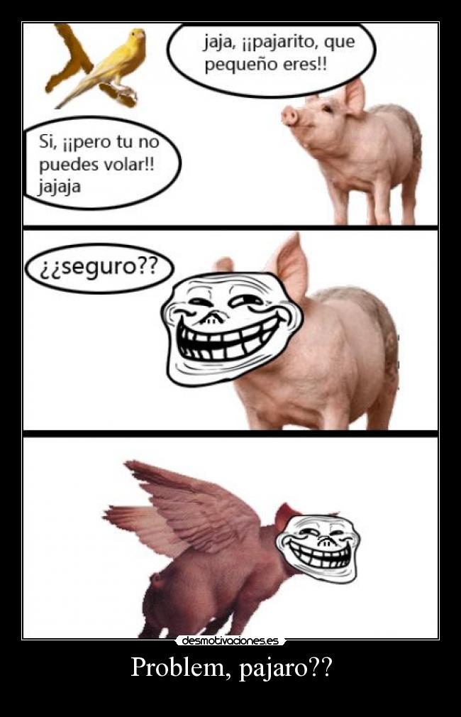 Problem, pajaro?? -