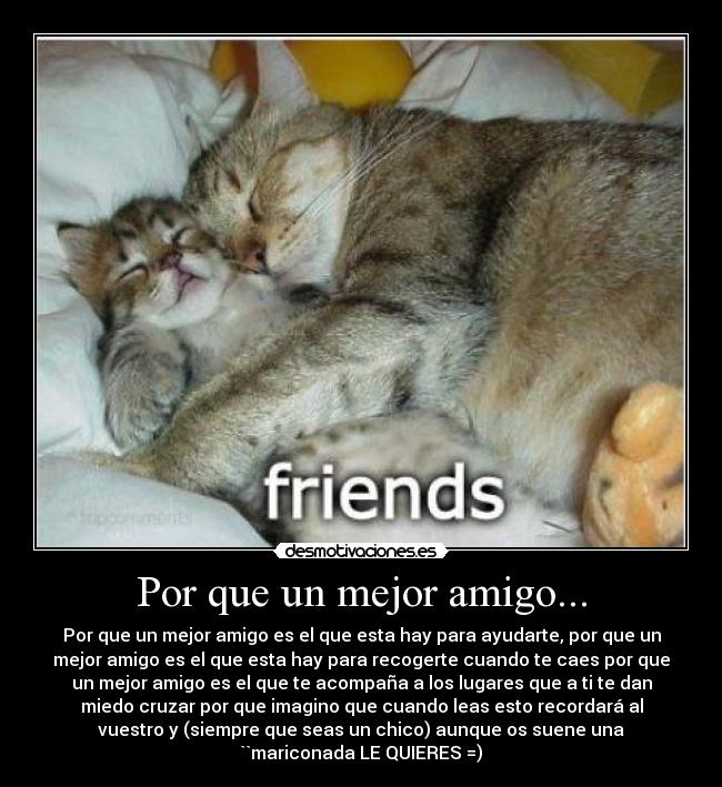 Por que un mejor amigo... - Por que un mejor amigo es el que esta hay para ayudarte, por que un
mejor amigo es el que esta hay para recogerte cuando te caes por que
un mejor amigo es el que te acompaña a los lugares que a ti te dan
miedo cruzar por que imagino que cuando leas esto recordará al
vuestro y (siempre que seas un chico) aunque os suene una
``mariconada LE QUIERES =)