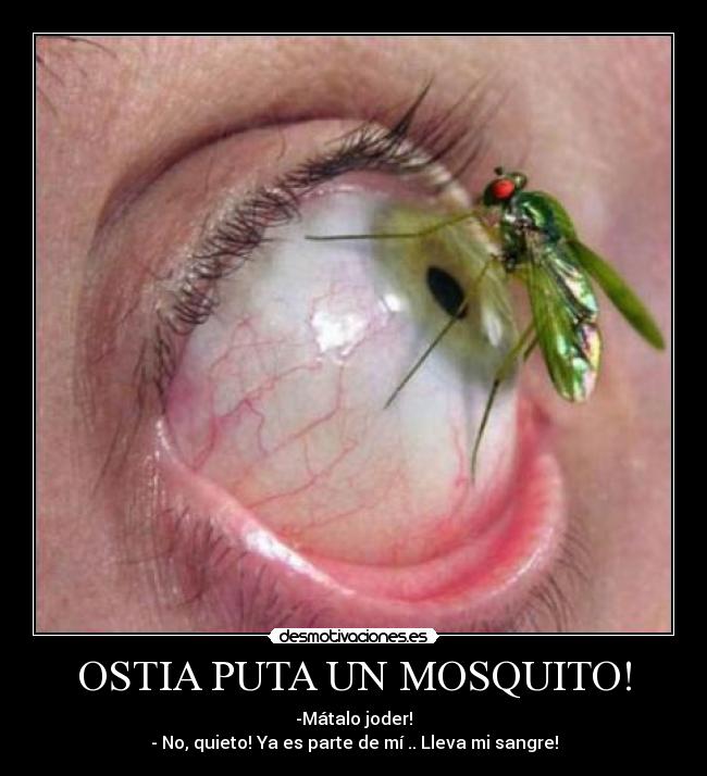 OSTIA PUTA UN MOSQUITO! - -Mátalo joder!
- No, quieto! Ya es parte de mí .. Lleva mi sangre!