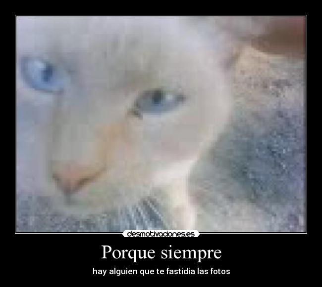 carteles fastidia-fotos desmotivaciones