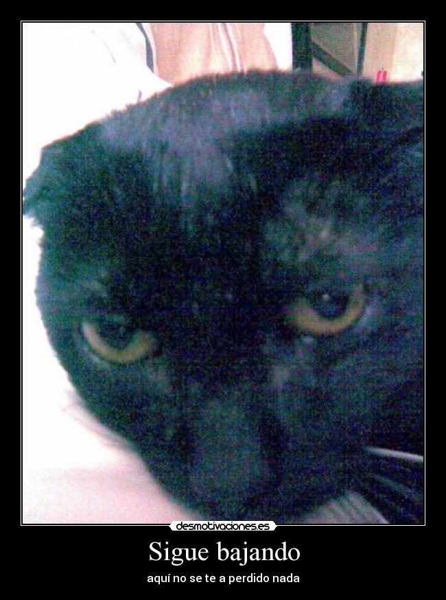 Sigue bajando -