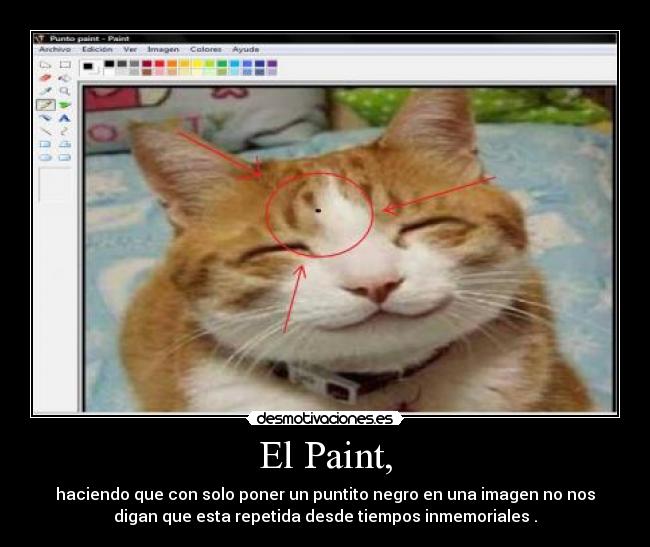 El Paint, -