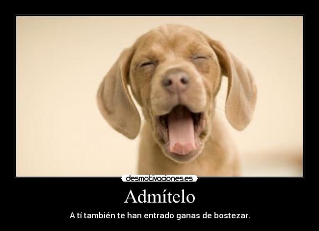 Admítelo - A tí también te han entrado ganas de bostezar.