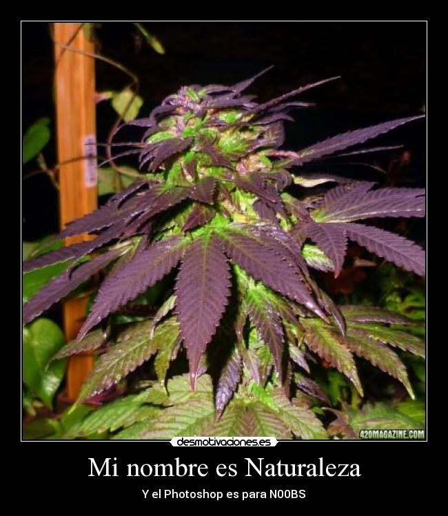 Mi nombre es Naturaleza -