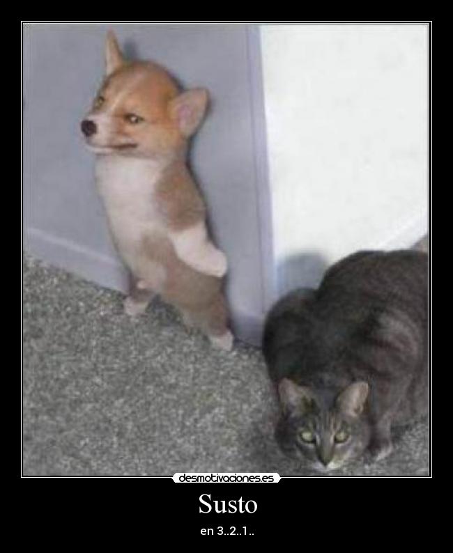 Susto - en 3..2..1..