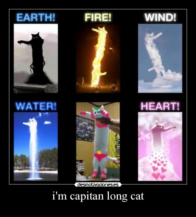 im capitan long cat - 