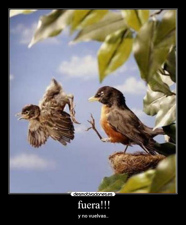 fuera!!! -
