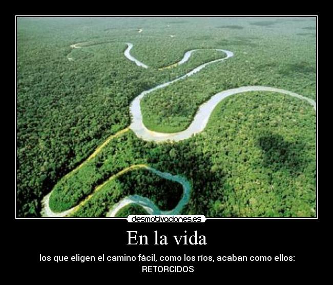 carteles vida rios desmotivaciones