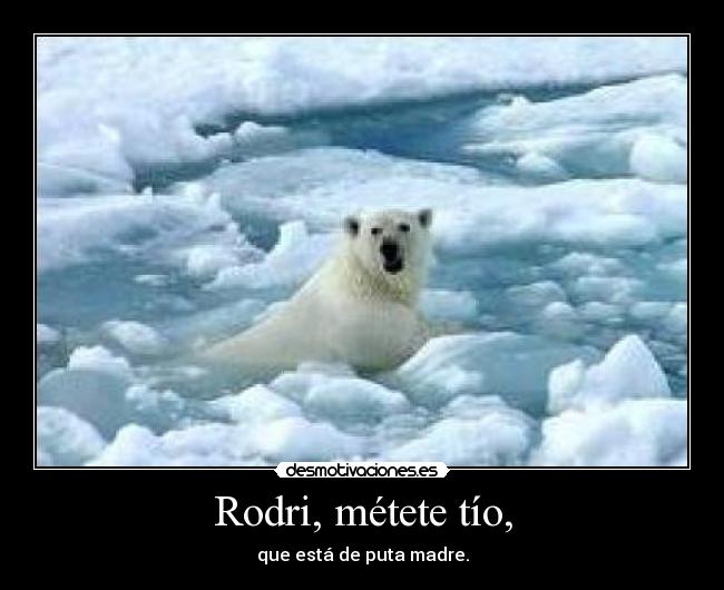 Rodri, métete tío, - que está de puta madre.