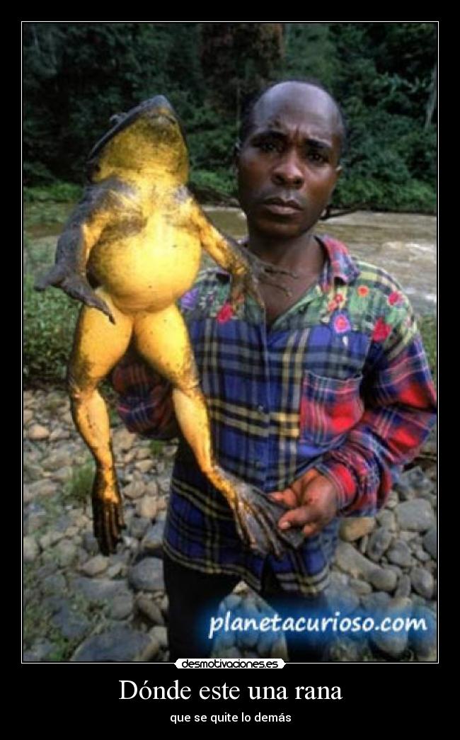 Dónde este una rana -
