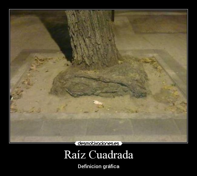 Raíz Cuadrada - Definicion gráfica