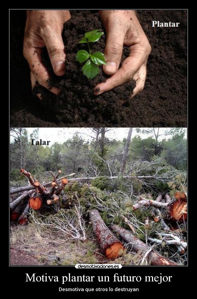Motiva plantar un futuro mejor - 