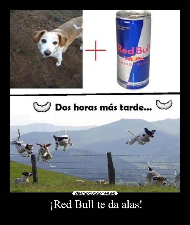 ¡Red Bull te da alas! - 