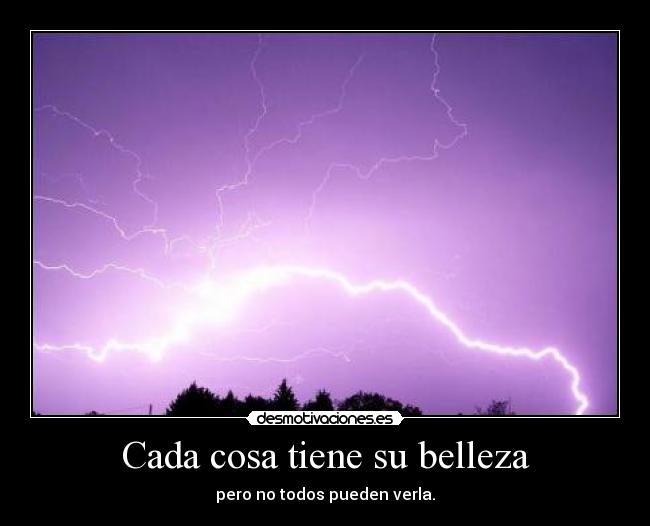 Cada cosa tiene su belleza -