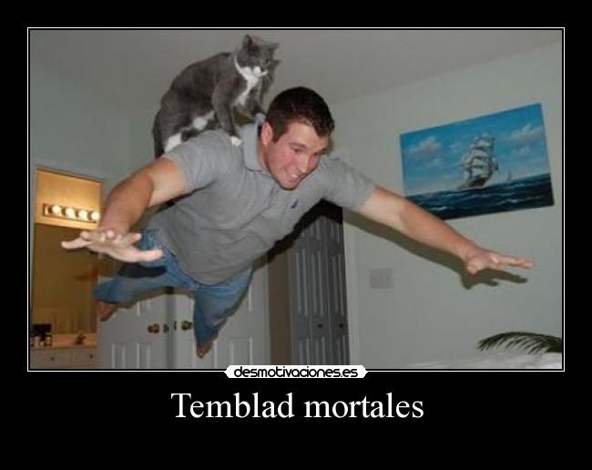 carteles temblad mortales desmotivaciones