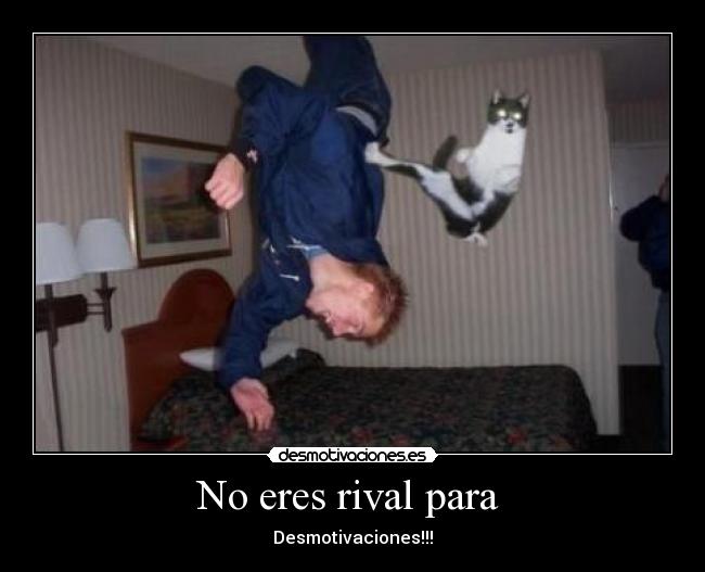 No eres rival para -