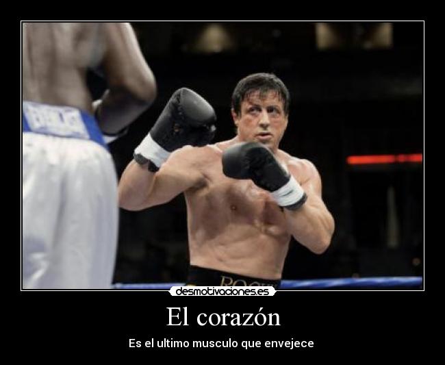 carteles corazon rocky balboa corazon boxeador desmotivaciones