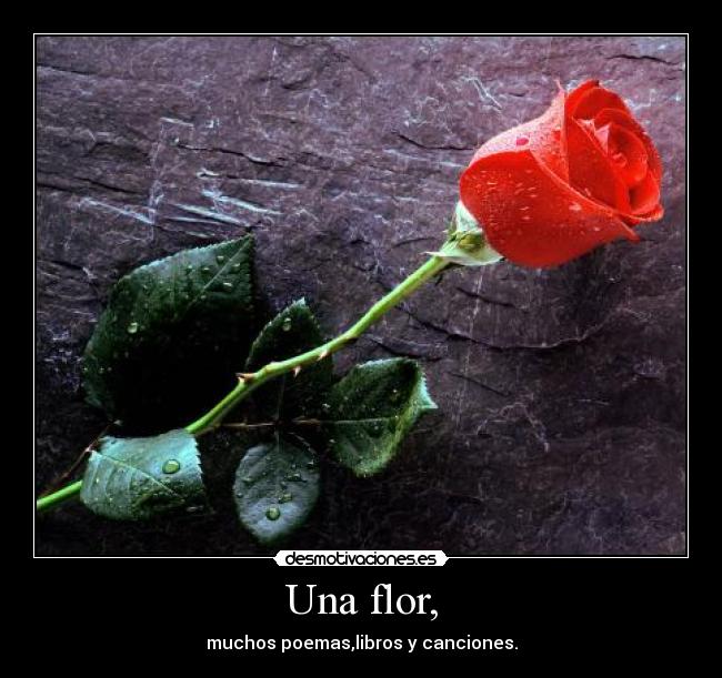 Una flor, -