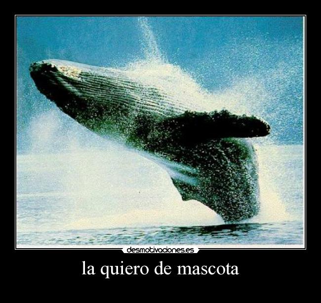 carteles  desmotivaciones