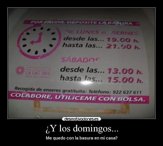 ¿Y los domingos... - Me quedo con la basura en mi casa?