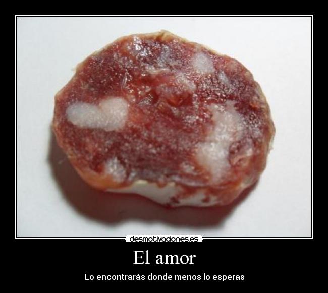 carteles amor amor salami desmotivaciones