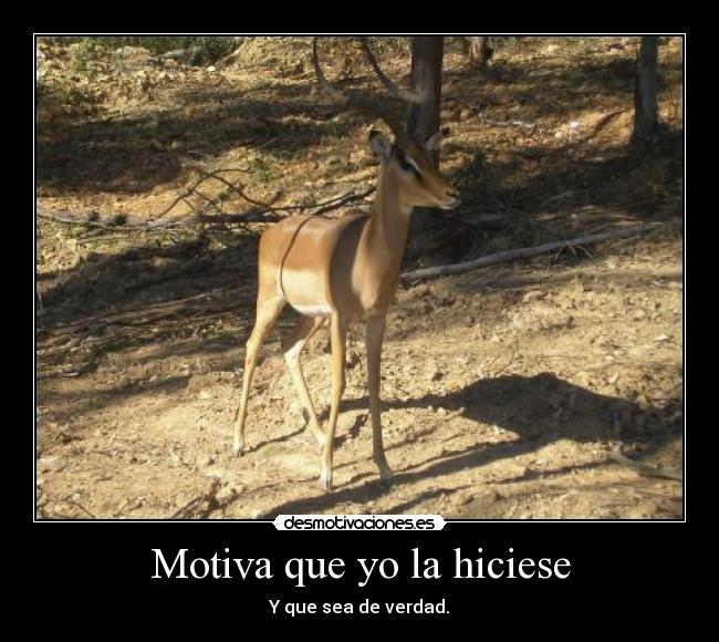 Motiva que yo la hiciese - Y que sea de verdad.