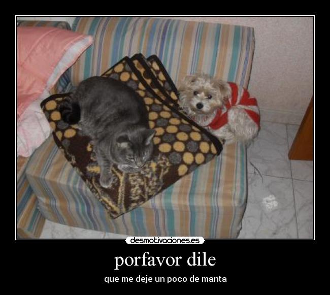 porfavor dile - 
