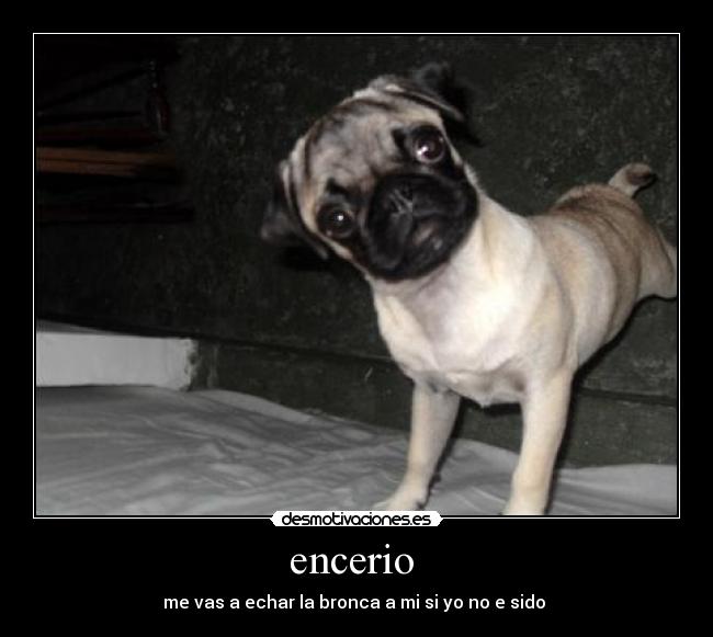 carteles encerio desmotivaciones