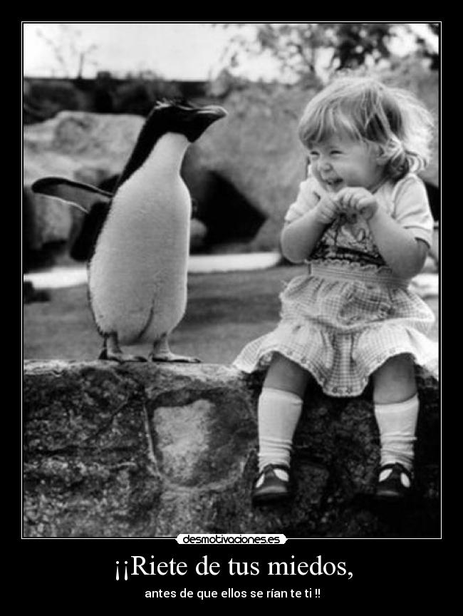¡¡Riete de tus miedos, -